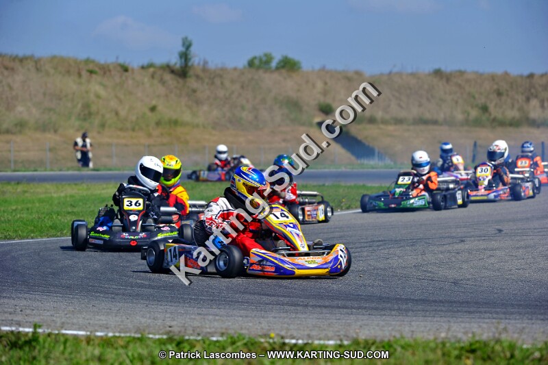 DSC_ (1308).jpg
